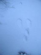 11.27.05 Nesmith Point 113 